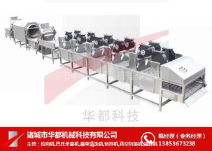 台湾草莓气泡清洗流水线哪家好厂家报价 多图