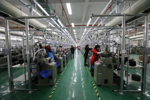 超给力 投资8.3亿 汉滨区11个重点项目集中投产投用