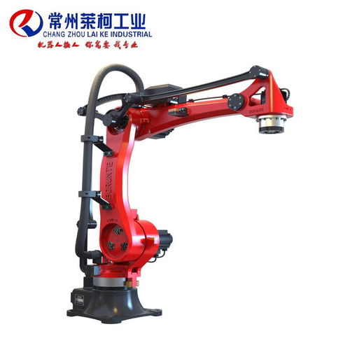 工业机器人工作条件 常州莱柯工业