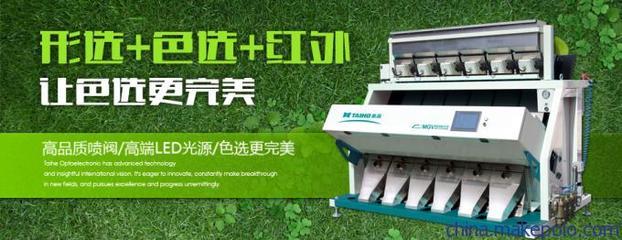 供应泰禾6SXL-600履带式分选机 高效定制，色选各类产品